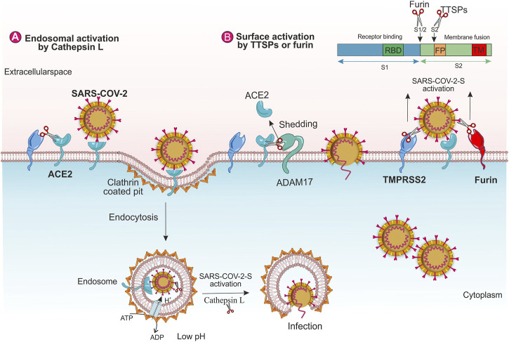 FIGURE 2