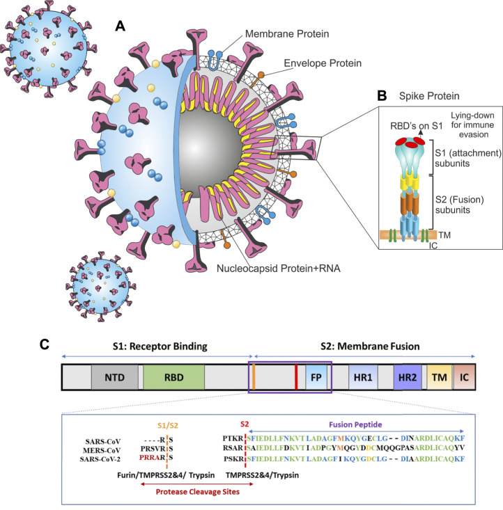 FIGURE 1