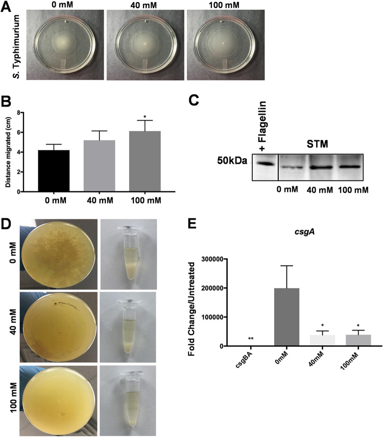 FIG 3