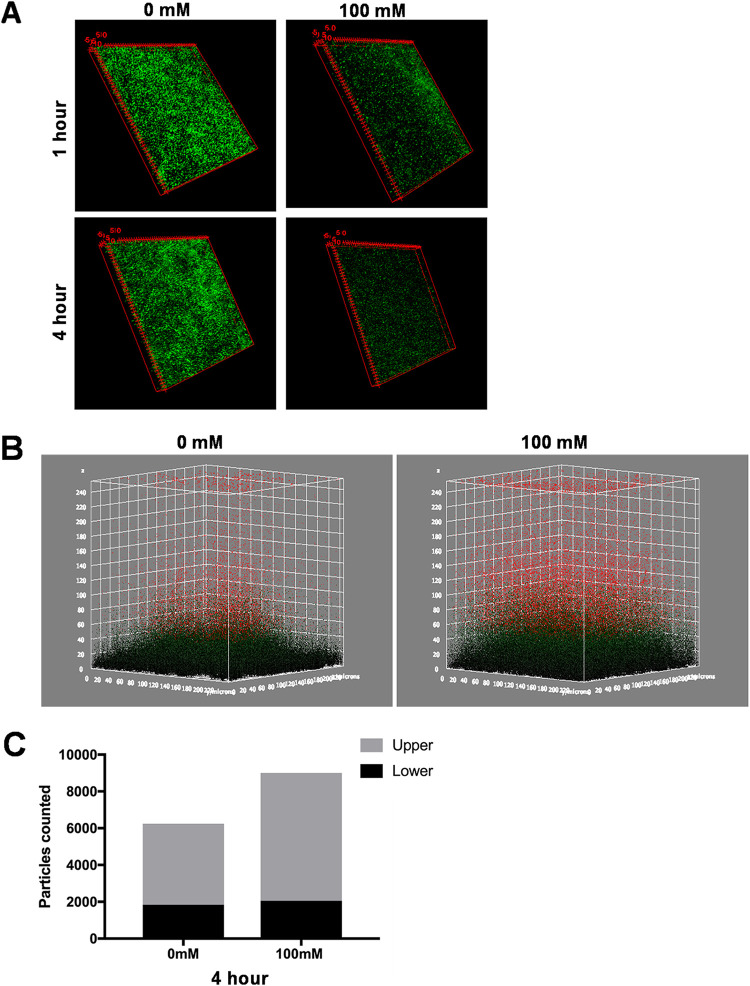 FIG 4