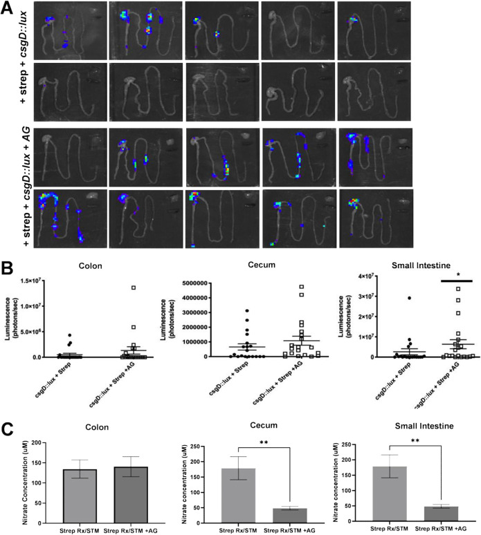 FIG 6