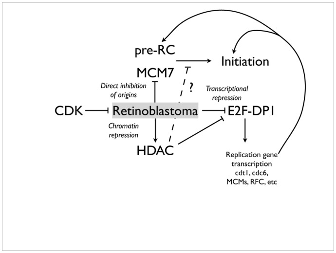 Figure 10.3