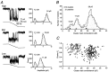 Fig. 3.