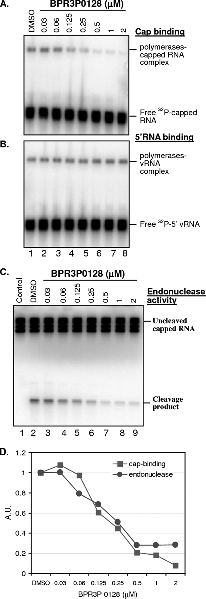 Fig 6