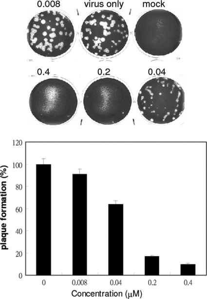 Fig 2