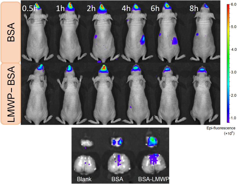 Fig. 4