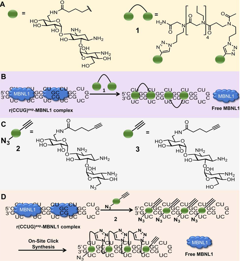 Figure 2: