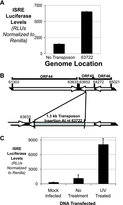 FIG. 4.