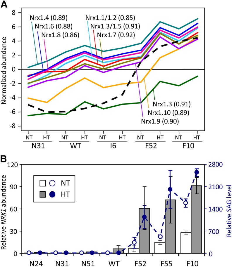 Figure 10.