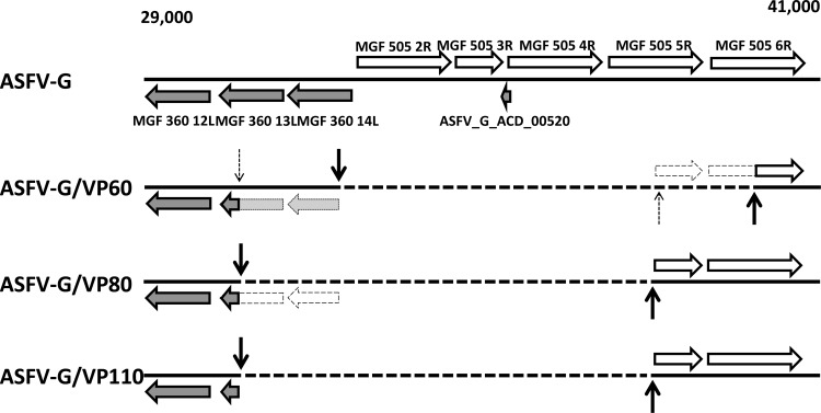 FIG 4