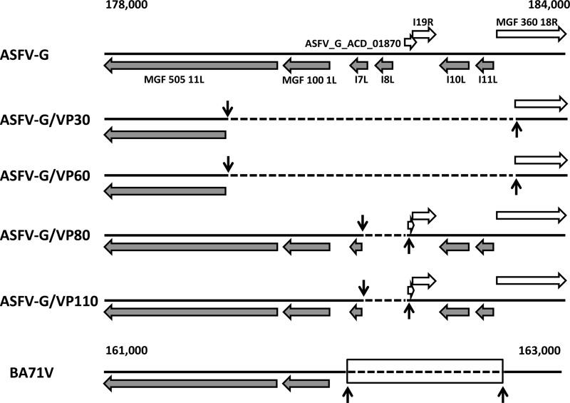 FIG 3