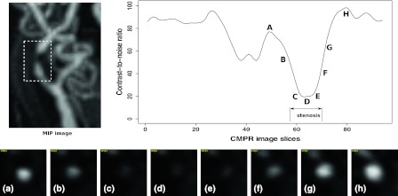 Fig. 9