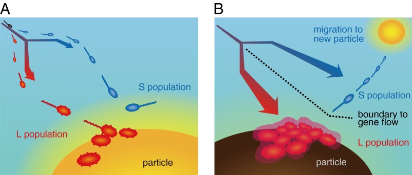 Fig. 4.