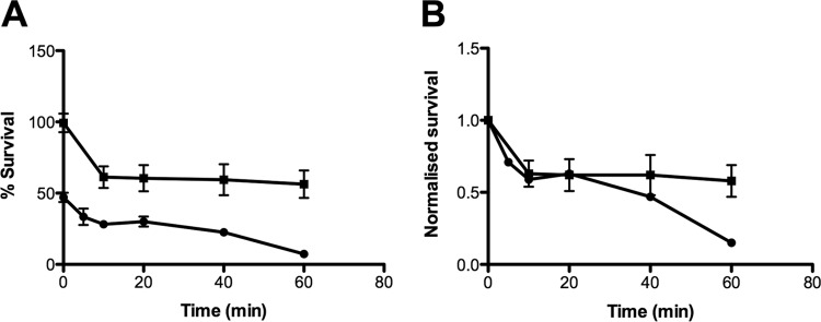 FIG 4