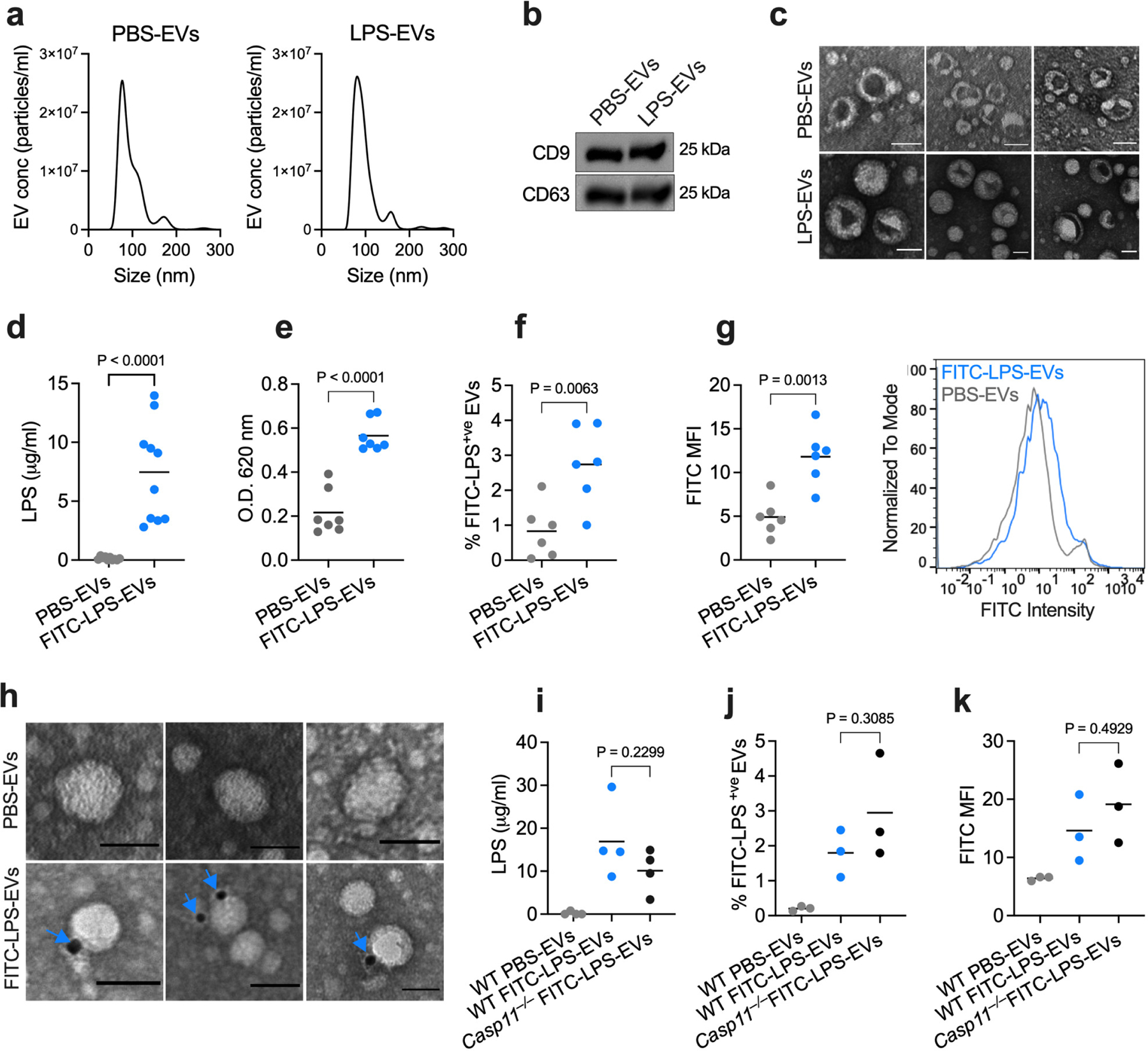 Fig. 2: