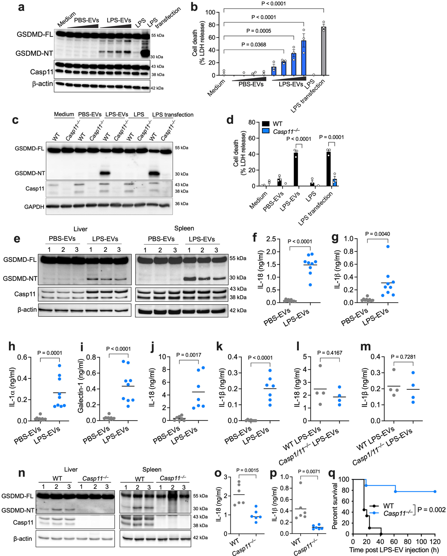 Fig. 4: