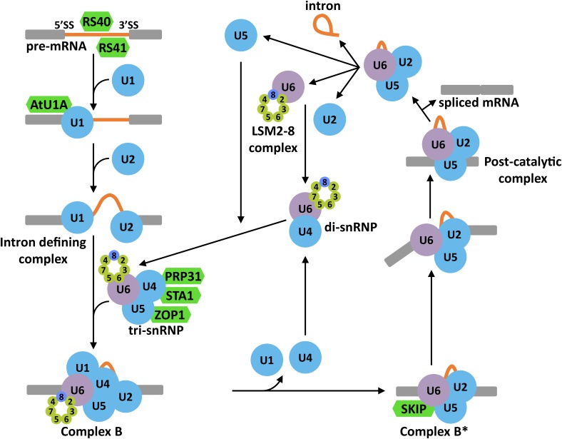 FIGURE 3