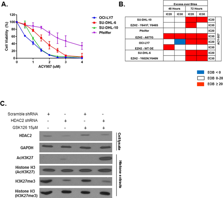 Figure 4: