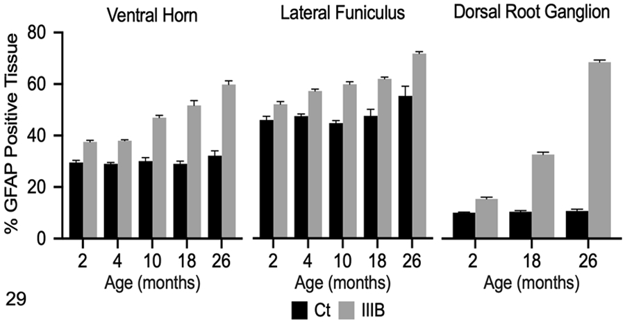 Figure 29.