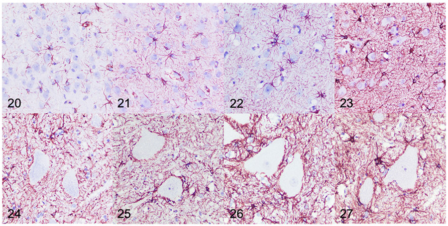 Figure 20-27.