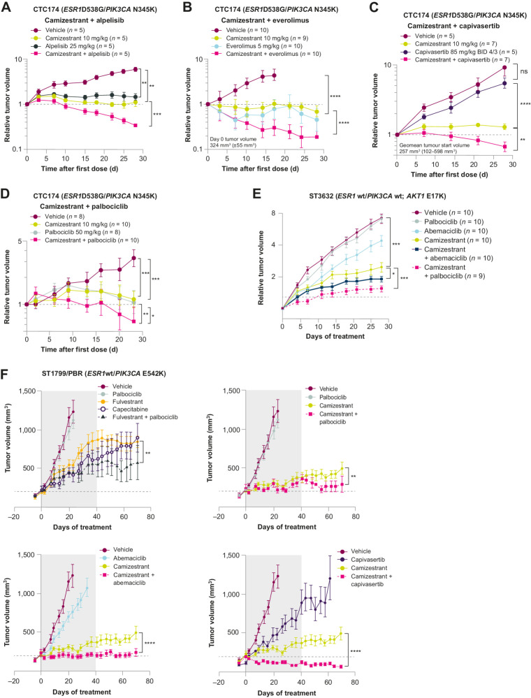 Figure 5. Enhanced efficacy of camizestrant in combination with PI3K/AKT/mTOR inhibitors as doublets in CDK4/6-sensitive and -resistant models (1). A–D, Combination of camizestrant with PI3Kα inhibitor alpelisib (A), mTOR inhibitor everolimus (B), AKT inhibitor capivasertib (C), or CDK4/6 inhibitor palbociclib (D) delivers enhanced efficacy compared with monotherapy in D538G ESR1m PDX CTC-174. Statistical analysis was performed by one-tailed, unequal variance t test versus log (change in tumor volume) compared with vehicle control at the final day of treatment. E, Relative tumor volume plots of ST3632 PDX model treated with oral camizestrant at 10 mg/kg daily, oral palbociclib at 50 mg/kg daily, and oral abemaciclib 50 mg/kg daily, and with camizestrant + abemaciclib and camizestrant + palbociclib. Statistical analysis was performed by one-tailed, unequal variance t test versus log (change in tumor volume) at the final day of treatment. F, In vivo combination of camizestrant at 10 mg/kg daily with palbociclib 50 mg/kg, abemaciclib 50 mg/kg, and capivasertib 130 mg/kg in PDX ST1799 dosed for 40 days (gray area). For clarity, the graph is divided into four subgraphs due to the large number of treatment arms; where they appear, the vehicle, camizestrant, and palbociclib arms are the same in each subgraph. CDK, cyclin-dependent kinase. *, P < 0.05; **, P < 0.01; ***, P < 0.001; ****, P < 0.0001; ns, not significant.