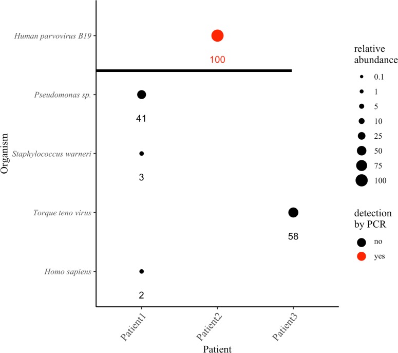 Fig 6