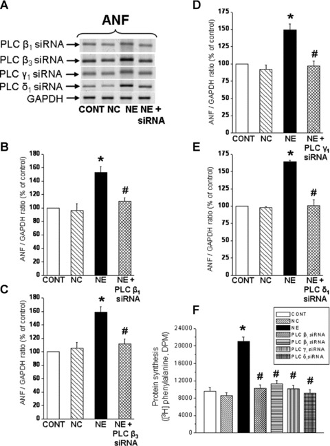 Fig 8