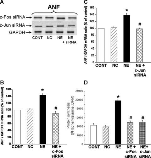 Fig 9