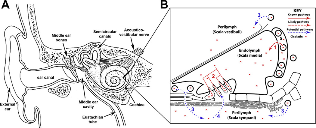 Fig. 3