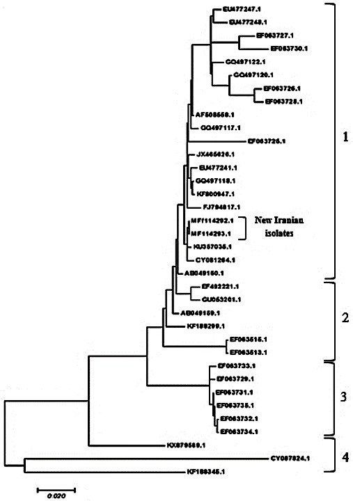 Figure 3