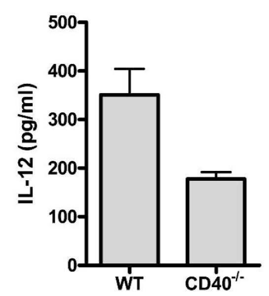 FIG. 5