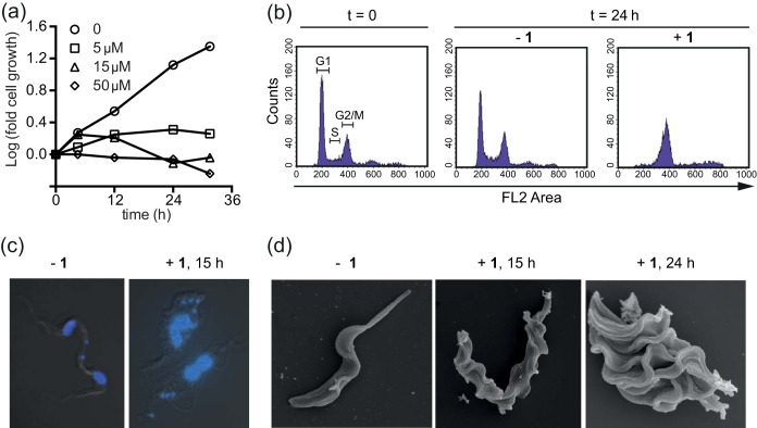 FIG 3