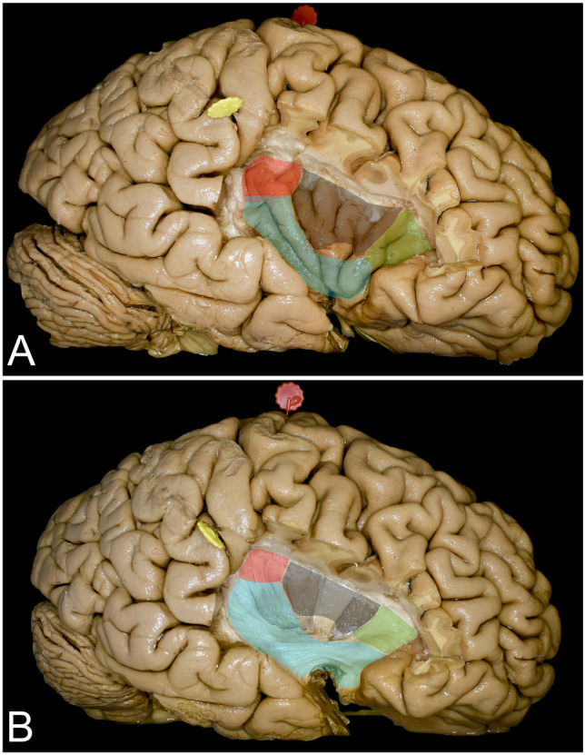 Fig. 8