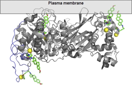 FIGURE 10.