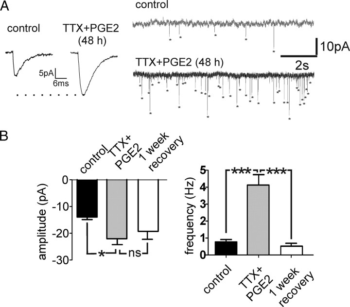 Figure 10.