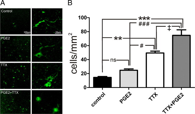 Figure 11.