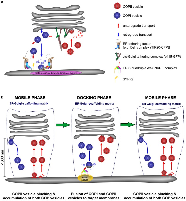 Figure 13