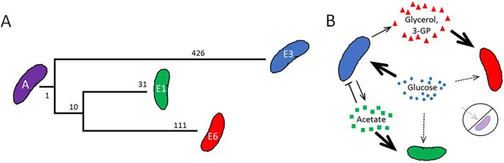 FIG 1