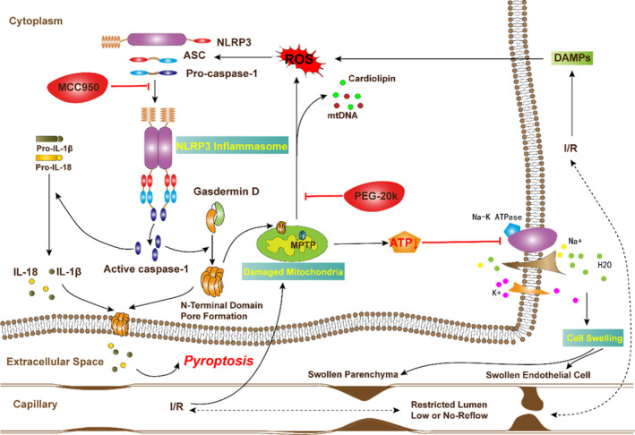 Figure 5