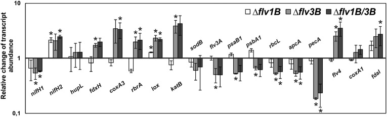 Fig. 3.