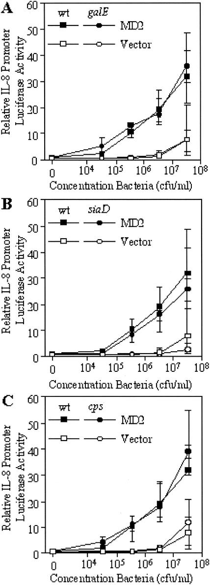 FIG. 2.