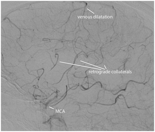 Figure 2.