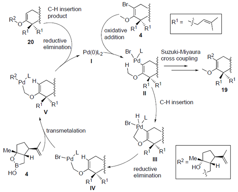 Scheme 4.