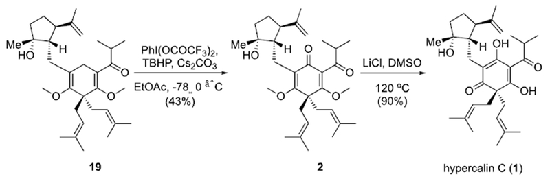 Scheme 5.