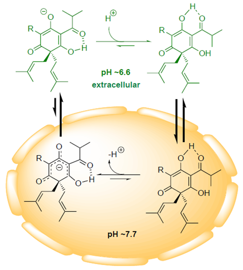 Figure 3.