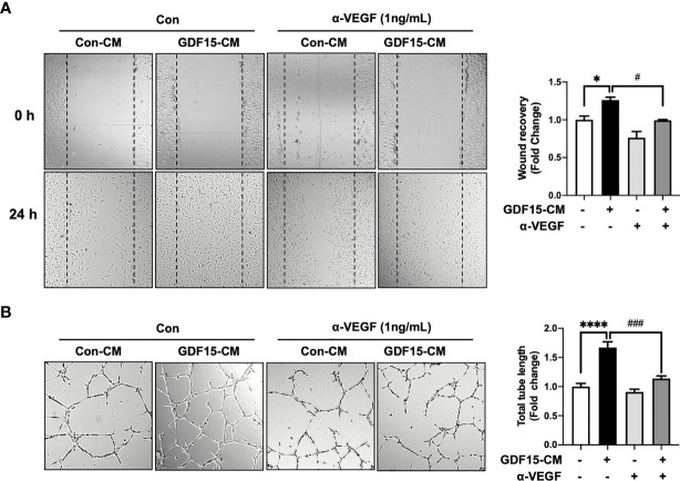 Figure 5