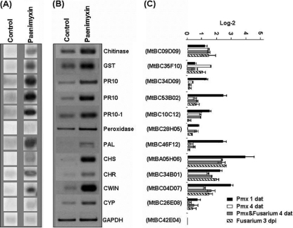 FIG. 4.