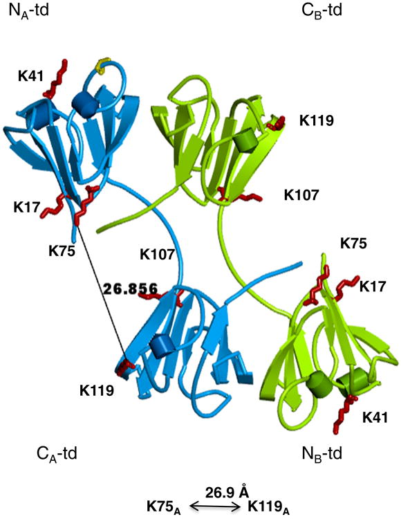 Fig. 10