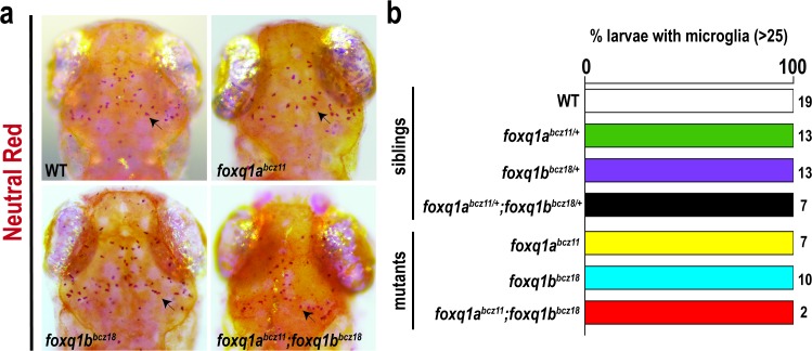 Fig 4