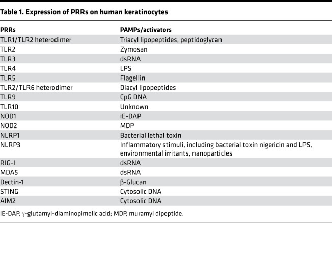 graphic file with name jciinsight-5-142067-g237.jpg